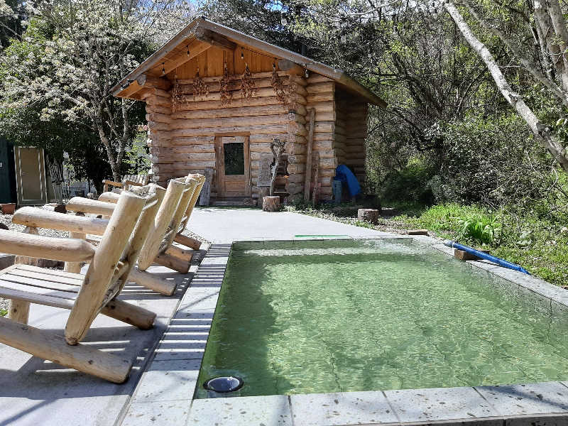 てぃきとんさんのヤオツサウナ&スパイスのサ活写真