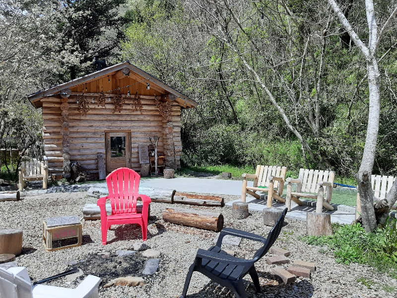 てぃきとんさんのヤオツサウナ&スパイスのサ活写真