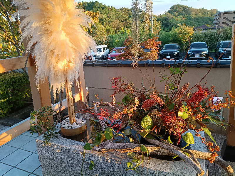 てぃきとんさんの天光の湯のサ活写真