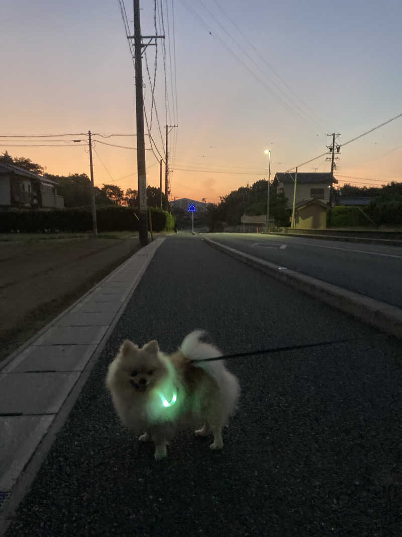 ポメサウナーさんの人蔘湯のサ活写真