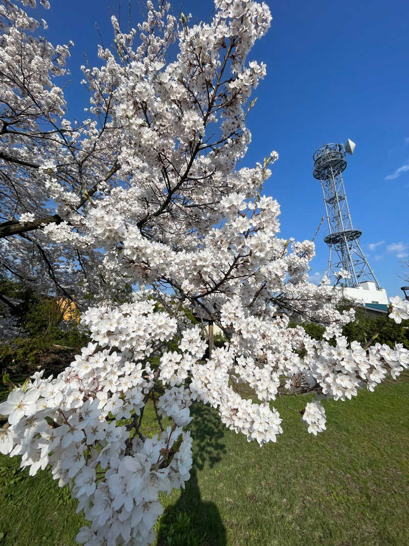 51さんの雄物川温泉 えがおの丘のサ活写真