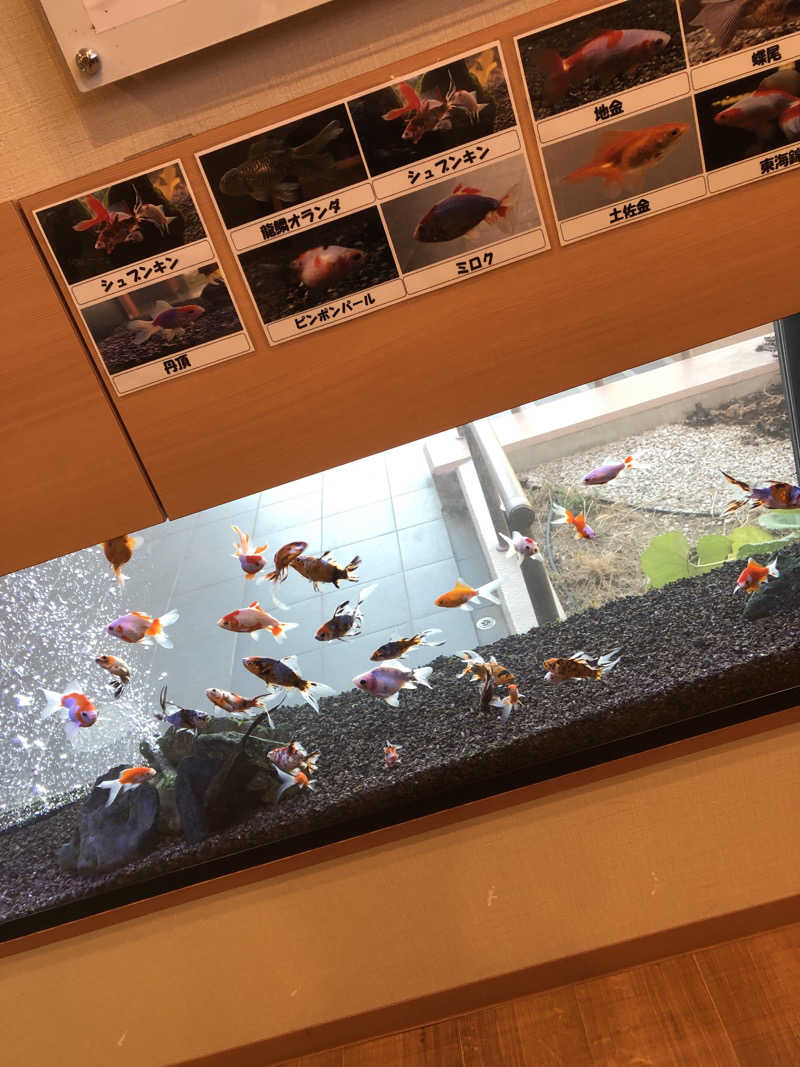 梓早.さんの竹取温泉 灯りの湯のサ活写真