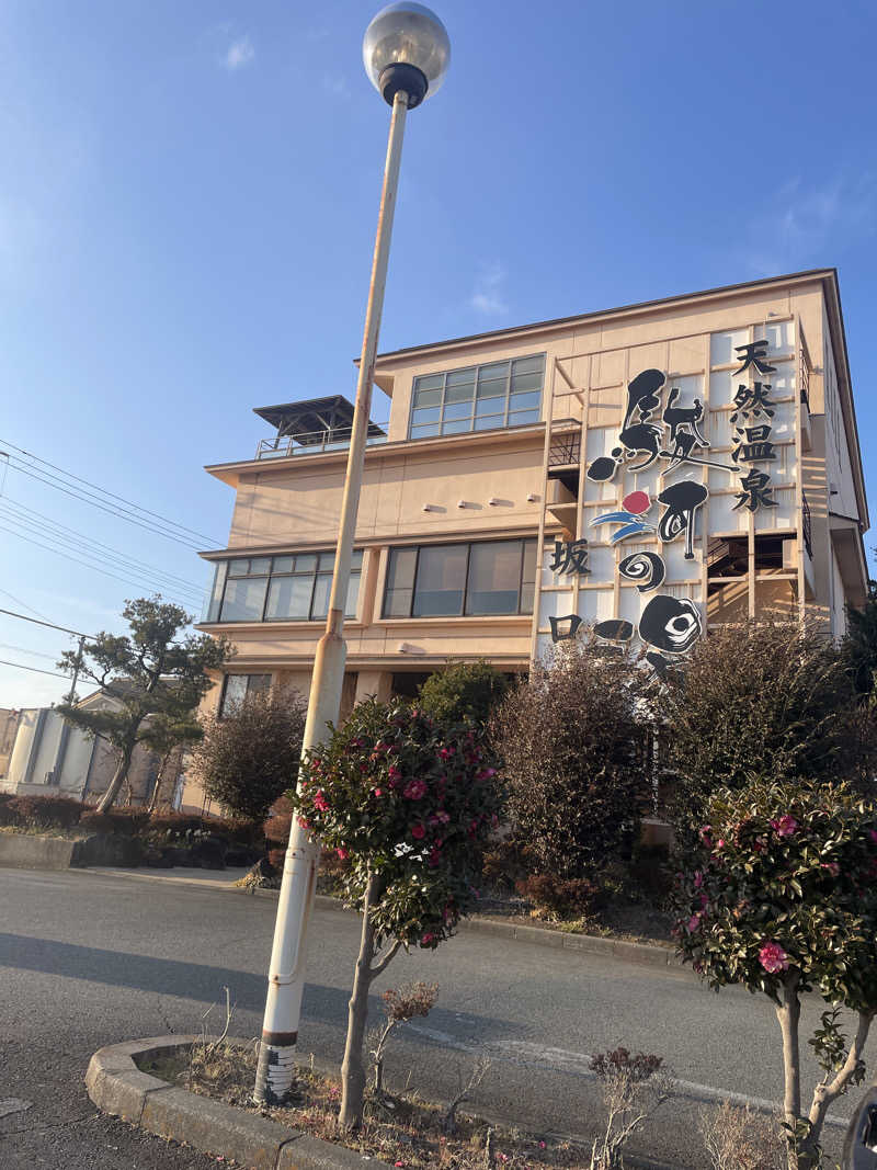 みっともめさんの駿河の湯 坂口屋のサ活写真