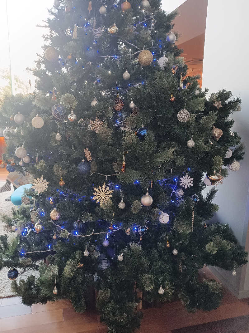 泉さんのSPA&HOTEL水春 松井山手のサ活写真