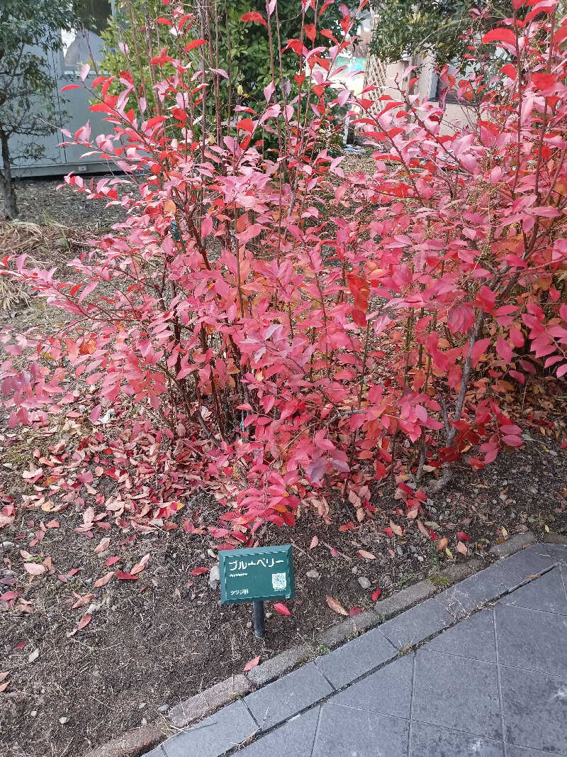 泉さんの丹波市立薬草薬樹公園 丹波の湯のサ活写真