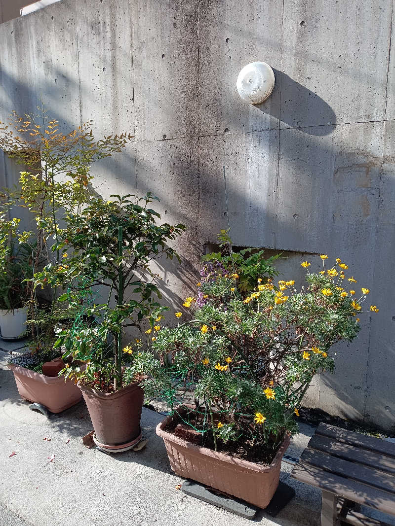 泉さんの(閉業2025.4.21)延命湯のサ活写真