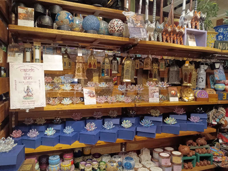 泉さんのヒルトン大阪のサ活写真