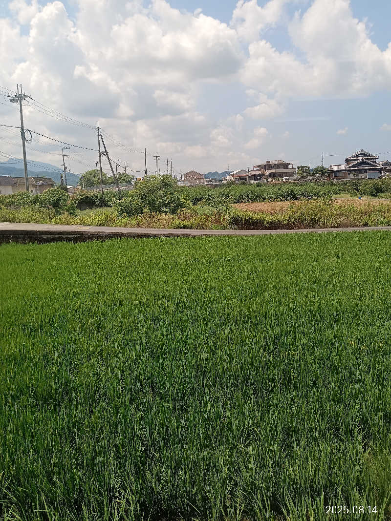 泉さんの古民家銭湯 - 高野口乃湯のサ活写真