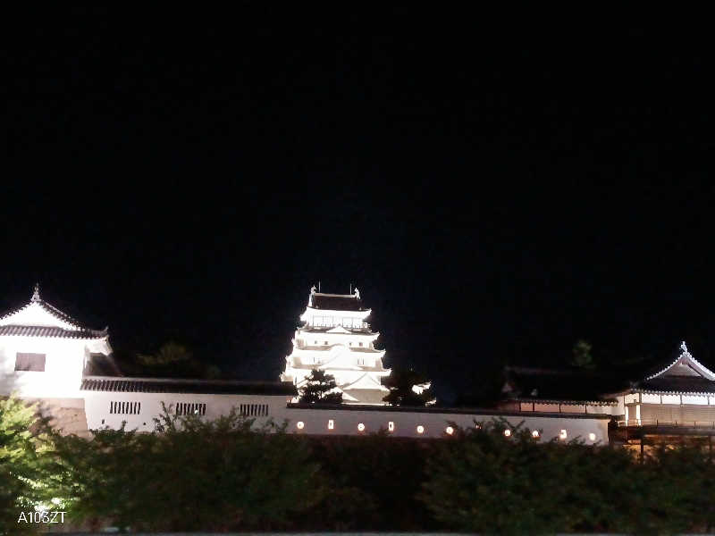 泉さんのカプセル&サウナ日本のサ活写真