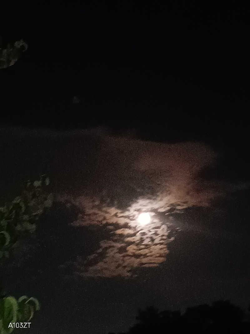 泉さんのユートピア白玉温泉のサ活写真