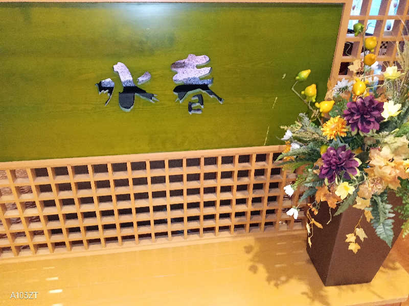 泉さんの鶴見緑地湯元水春のサ活写真