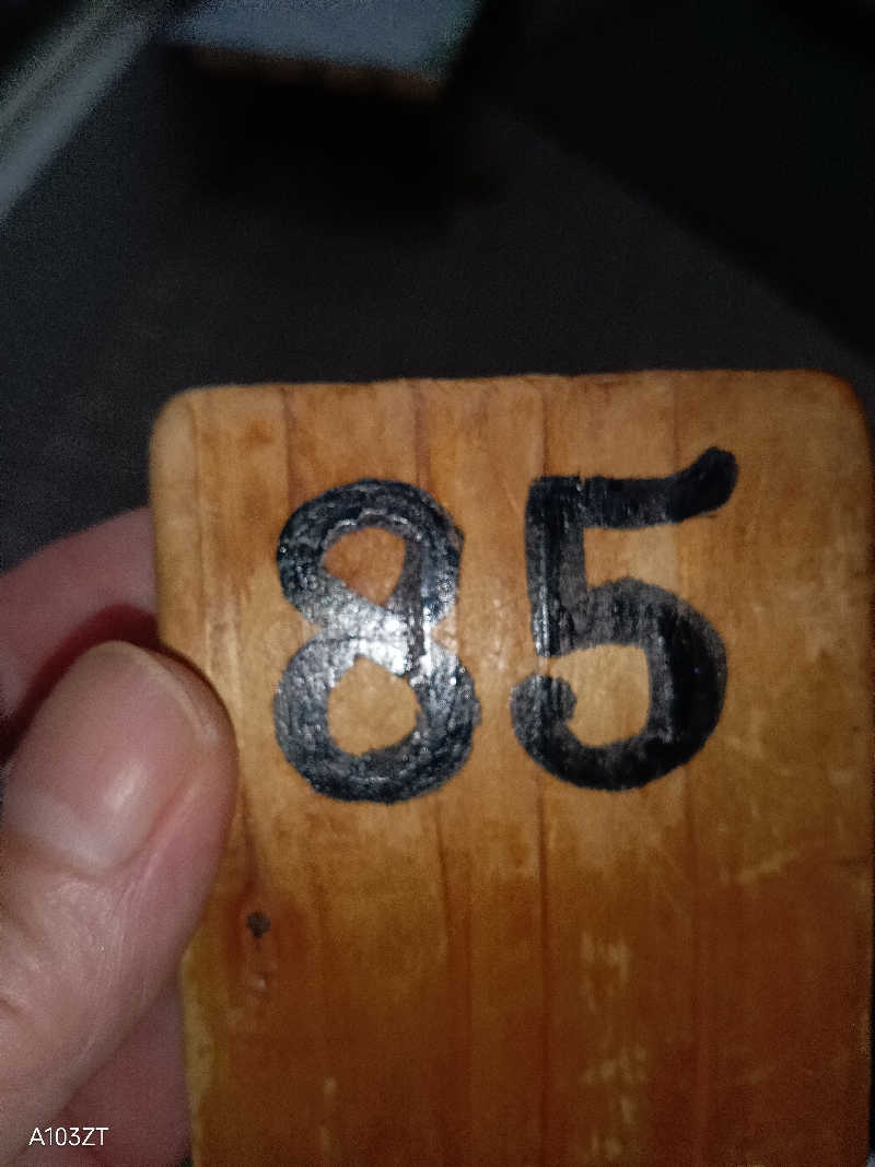 泉さんの新宮温泉のサ活写真