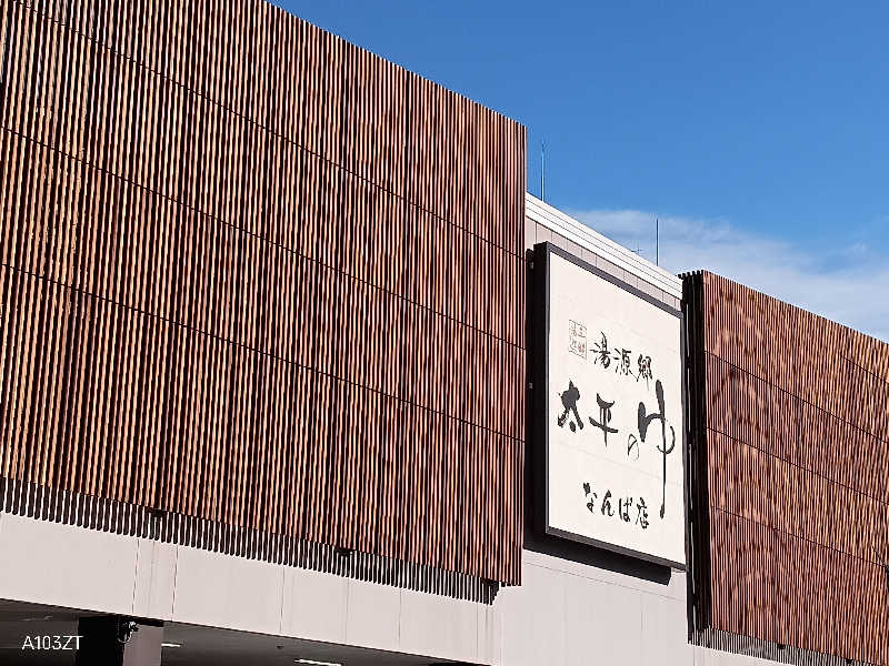 泉さんの湯源郷 太平のゆ なんば店のサ活写真