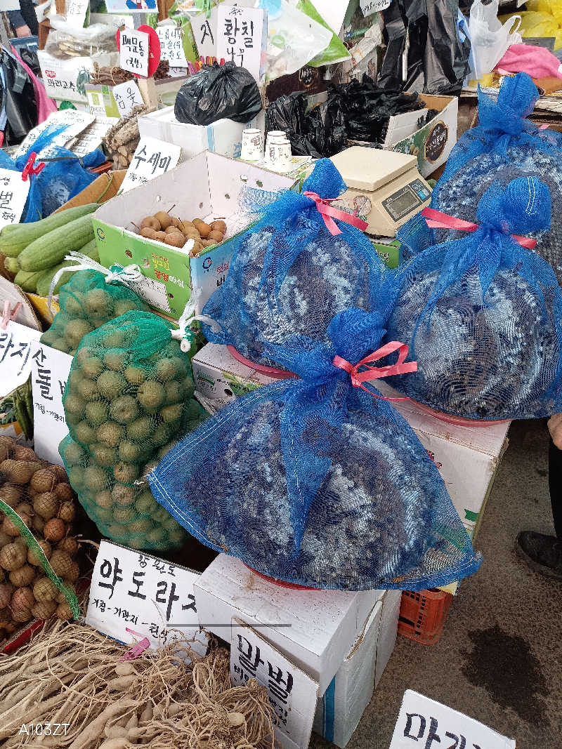 泉さんのスパレックス東大門のサ活写真