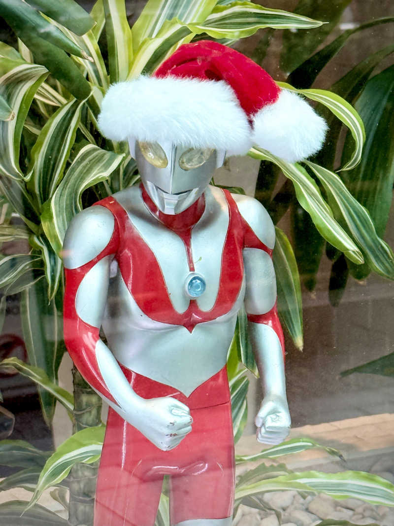 ぴよこ豆さんの91° SAUNAのサ活写真