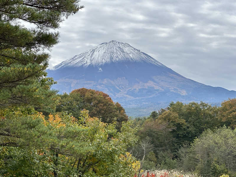 わんてんさんの富士眺望の湯 ゆらりのサ活写真