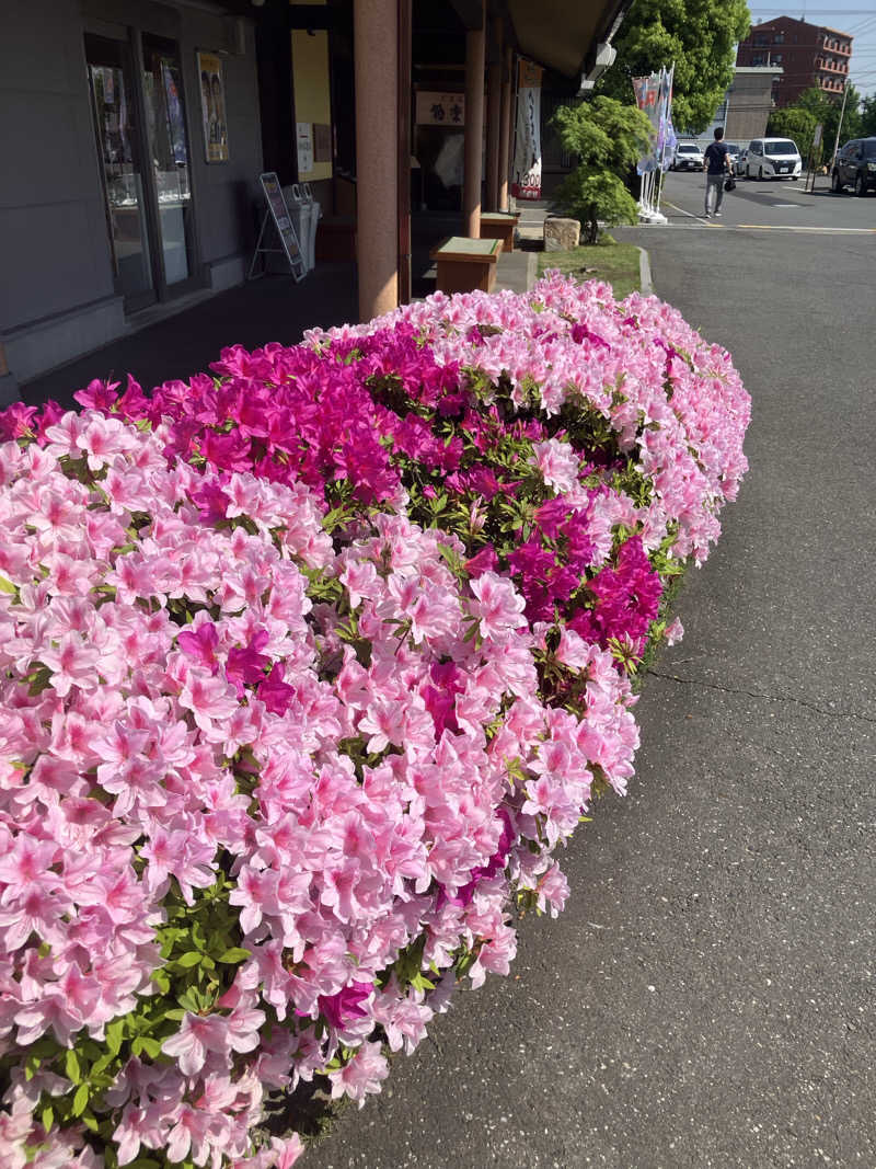 🌴ナンクルナウサ〜🌴さんの極楽湯 和光店のサ活写真
