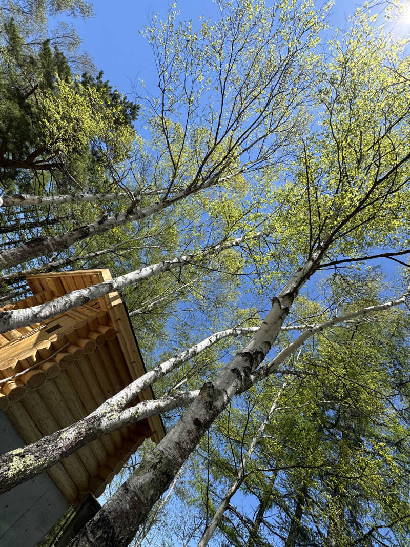 蒸SMZさんのSAUNA TEN            "Birch and cloud forest"のサ活写真