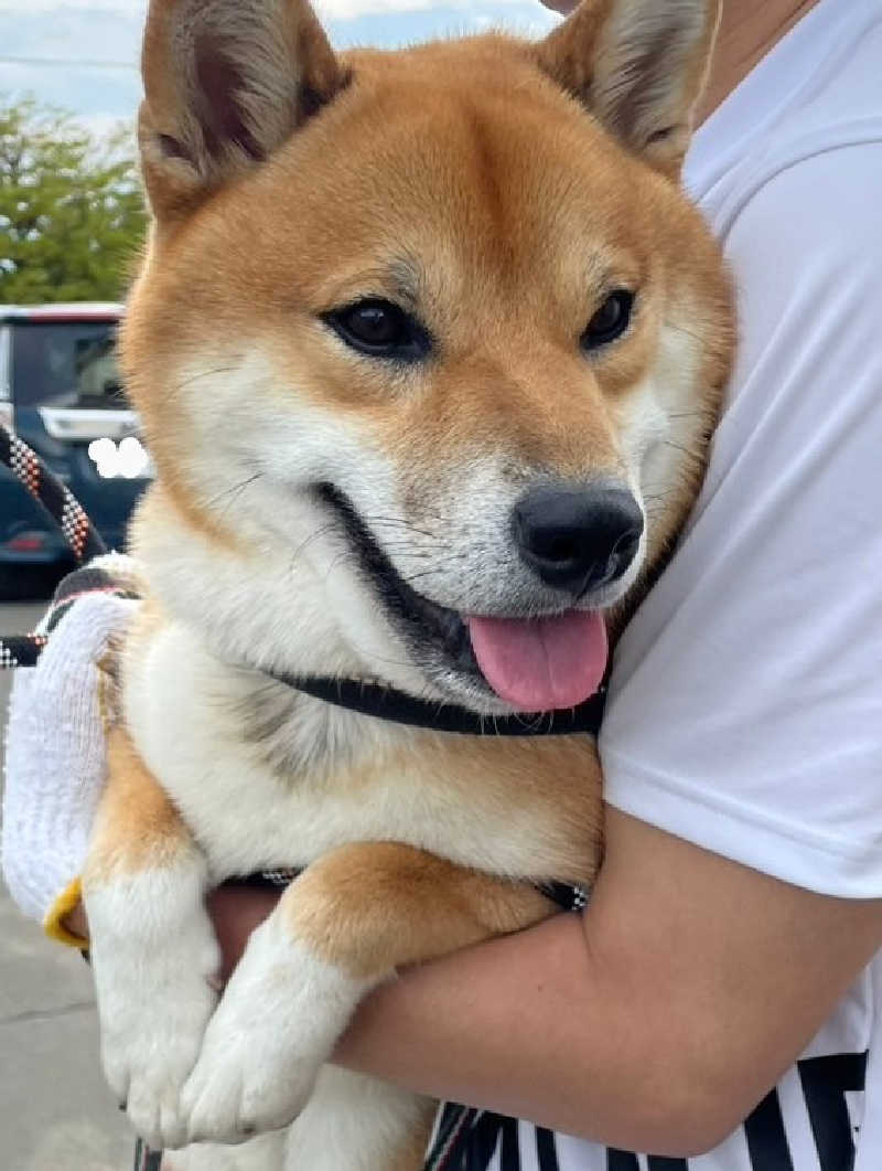 たくちゃんさんののんたの湯のサ活写真