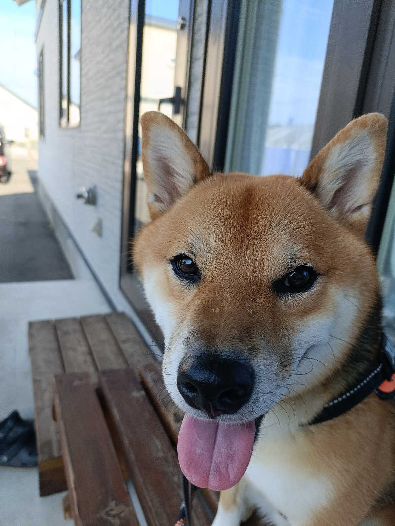 たくちゃんさんの美白の湯宿 大江本家のサ活写真