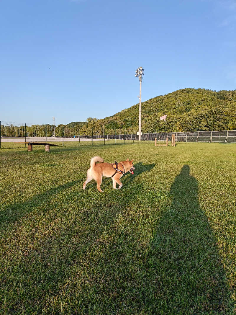 たくちゃんさんのニュー阿寒ホテルのサ活写真
