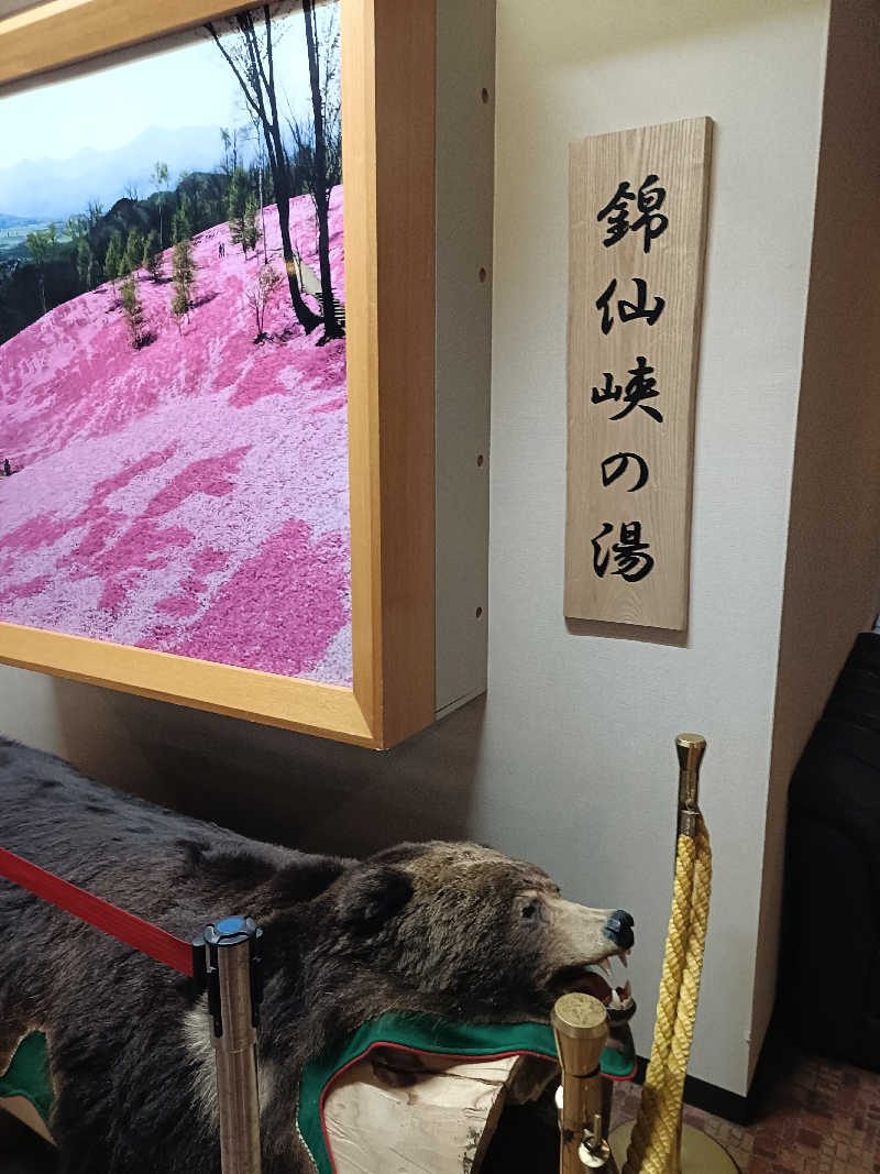 たくちゃんさんのたきのうえホテル渓谷のサ活写真