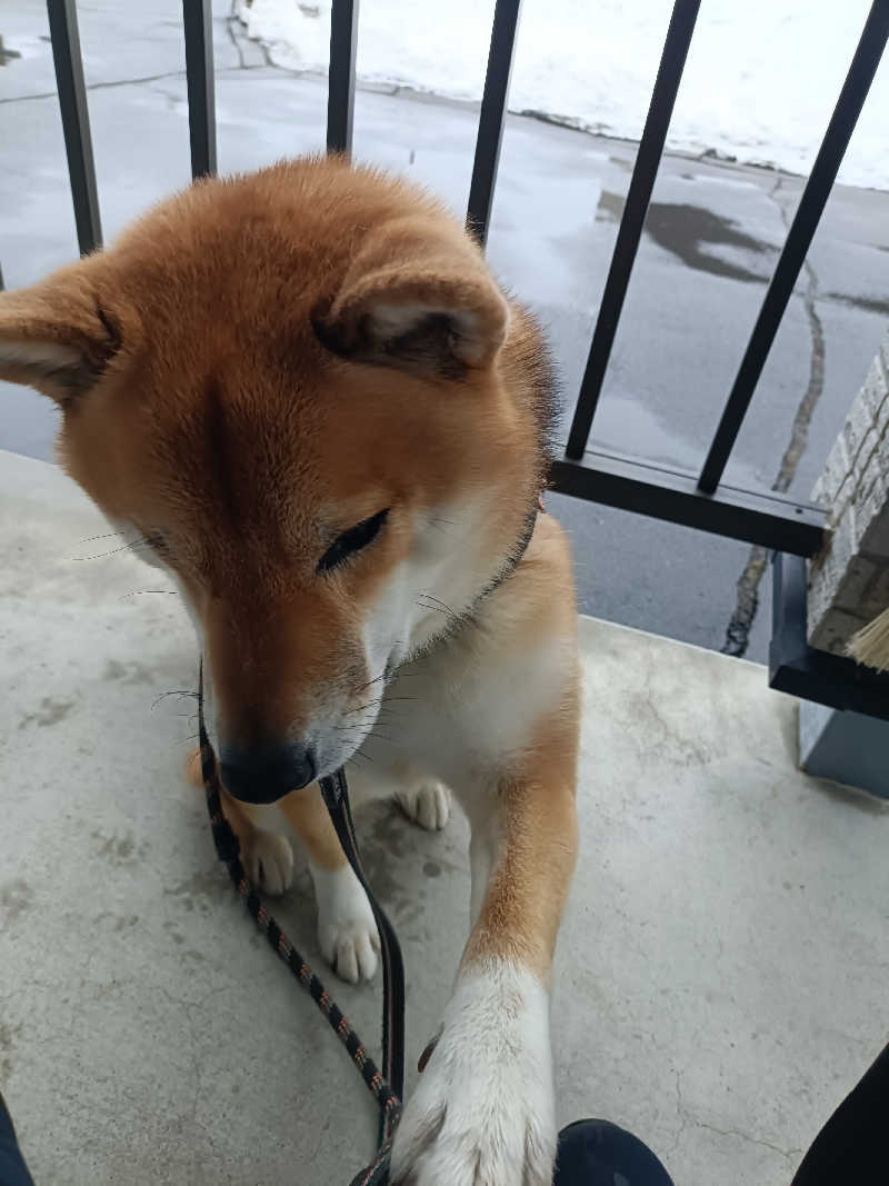 たくちゃんさんの訓子府町役場 温泉保養センターのサ活写真