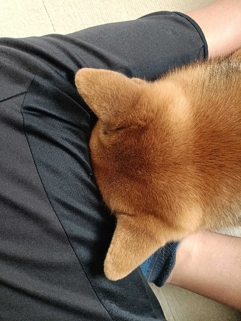 たくちゃんさんのニュー阿寒ホテルのサ活写真