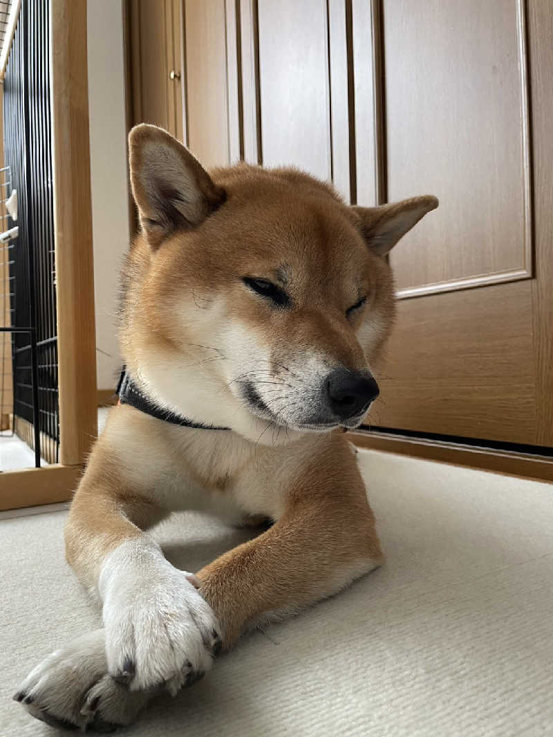 たくちゃんさんの知床第一ホテルのサ活写真