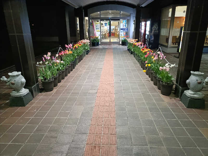 たくちゃんさんの道の駅 かみゆうべつ温泉チューリップの湯のサ活写真