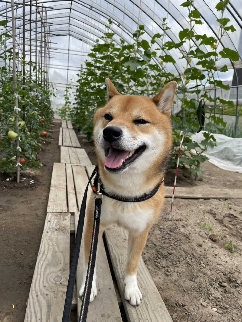 たくちゃんさんの訓子府町役場 温泉保養センターのサ活写真