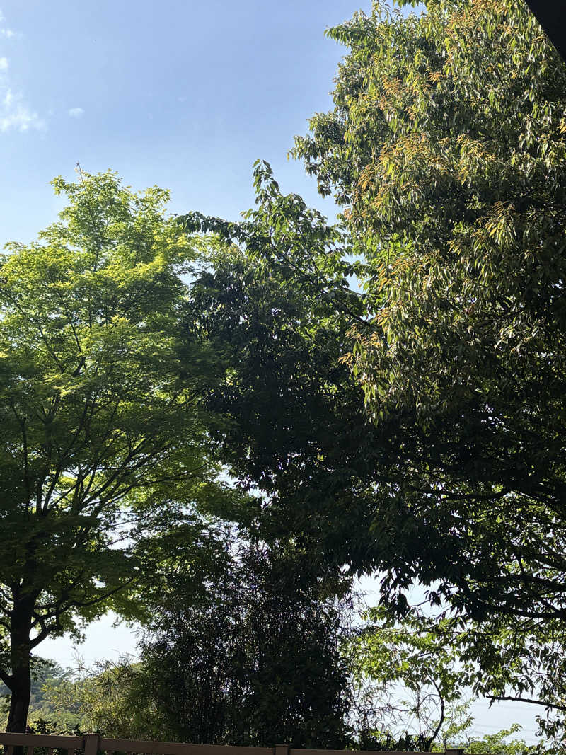 maaaaさんの稲城天然温泉 季乃彩(ときのいろどり )のサ活写真