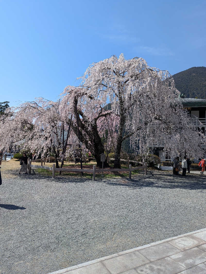 みみさんの石笛の湯のサ活写真