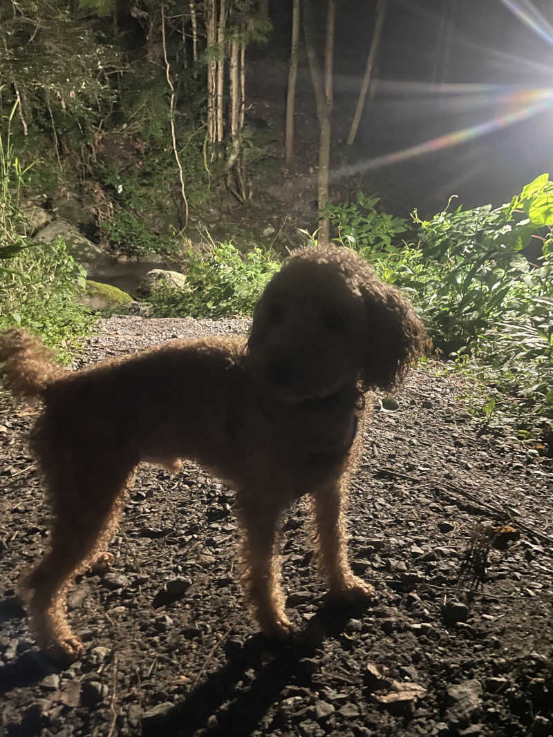 yuririnさんのThe Riverside Saunaのサ活写真