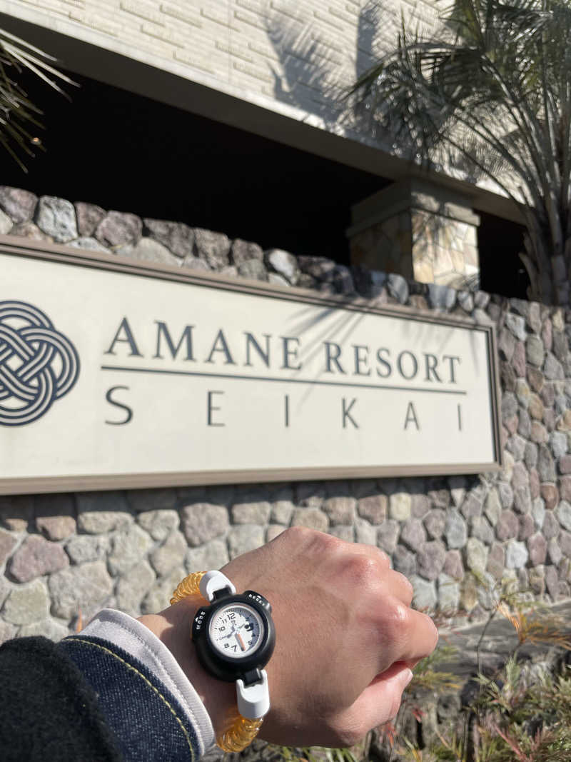 さうなさんのAMANE RESORT SEIKAIのサ活写真