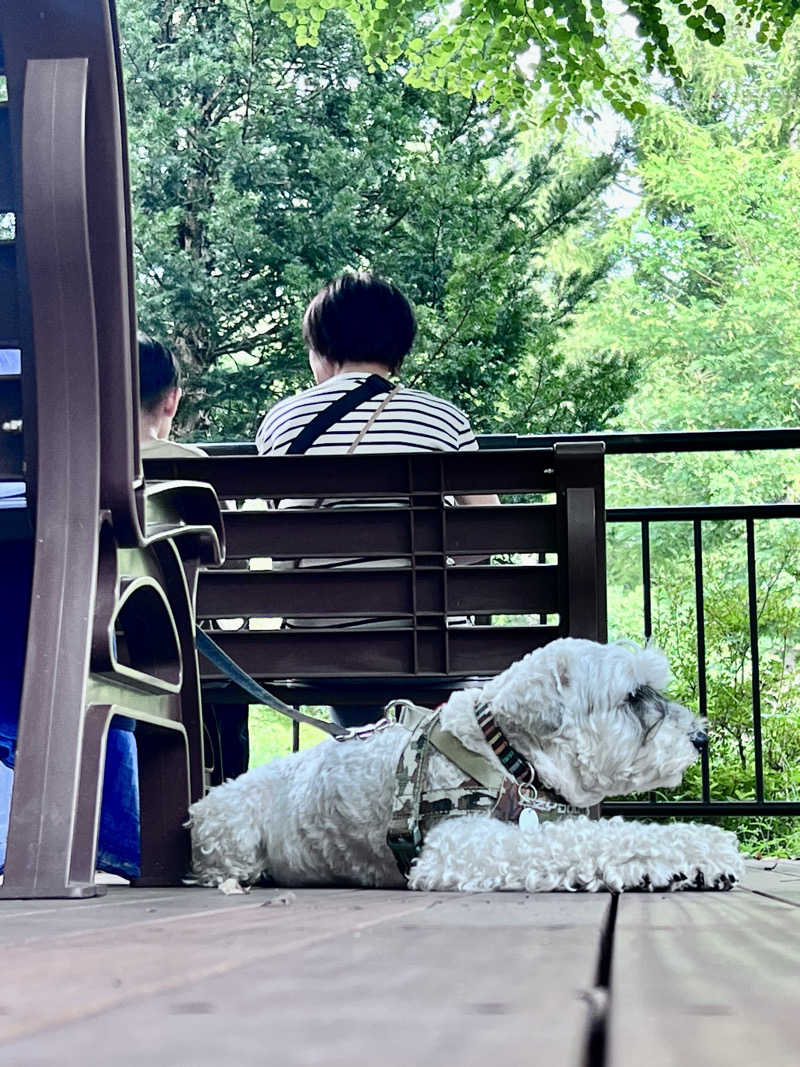 ポンセさんの軽井沢プライベートアウトドアサウナkaveriのサ活写真