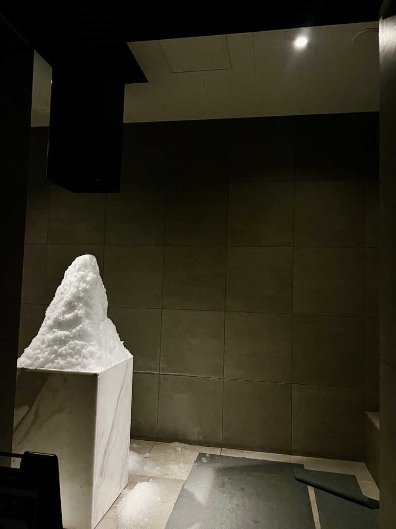 ポンセさんの大磯プリンスホテル THERMAL SPA S.WAVEのサ活写真