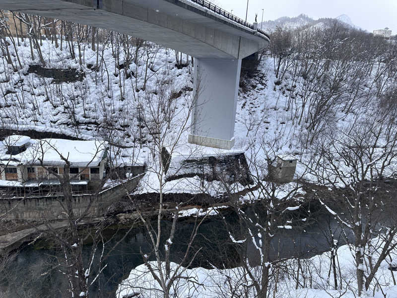 307530さんの定山渓ビューホテルのサ活写真