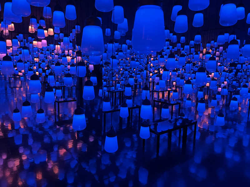 NAO👑（ナオ）さんの御船山楽園ホテル  らかんの湯のサ活写真