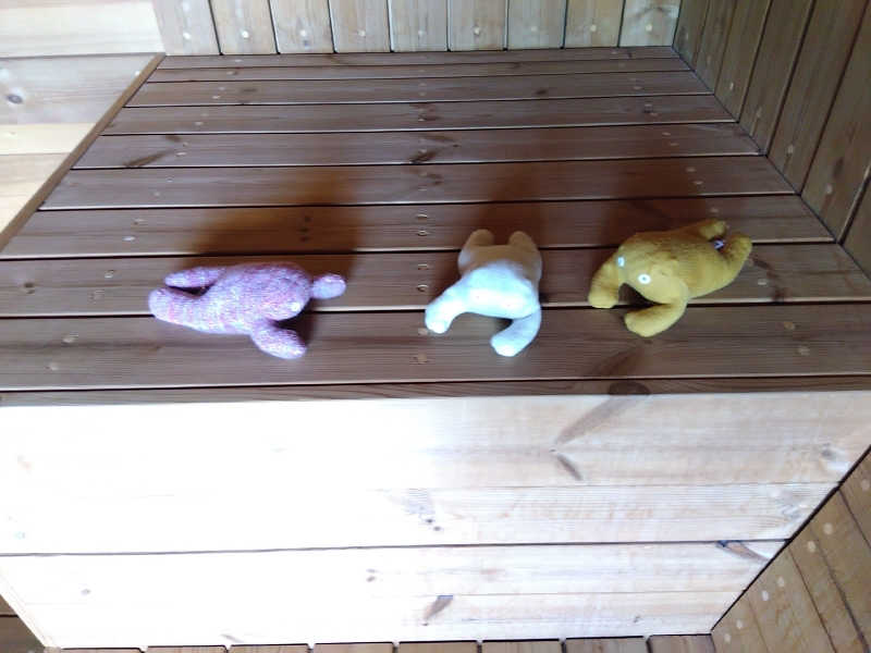 まっちゃんさんのMoruran Saunaのサ活写真