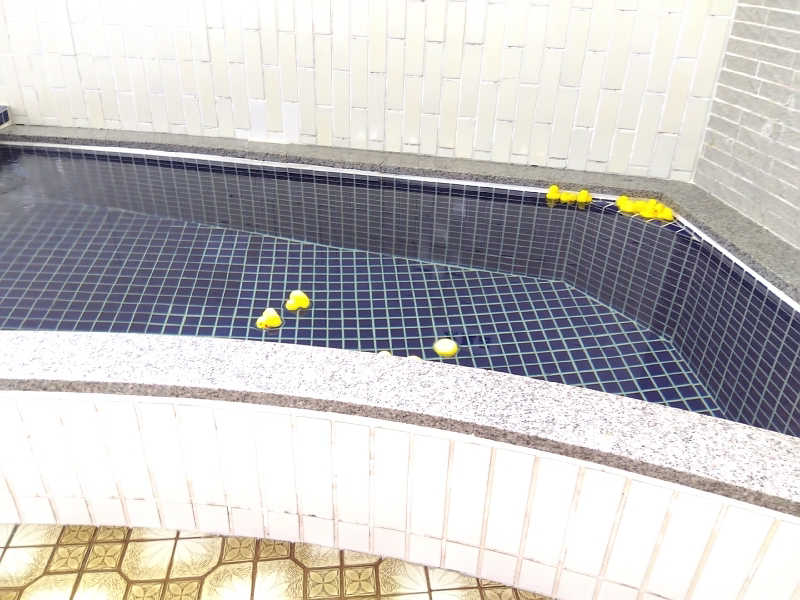 まっちゃんさんの月見湯のサ活写真