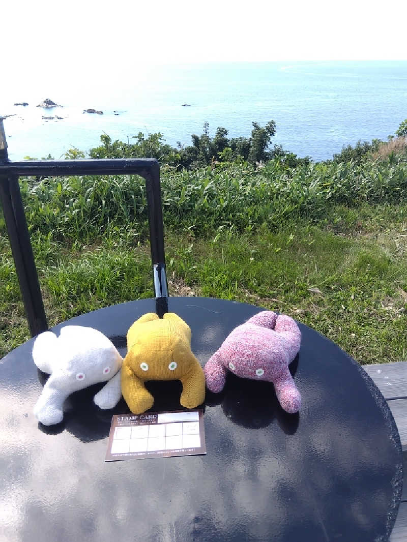 まっちゃんさんの岬の湯 しゃこたんのサ活写真