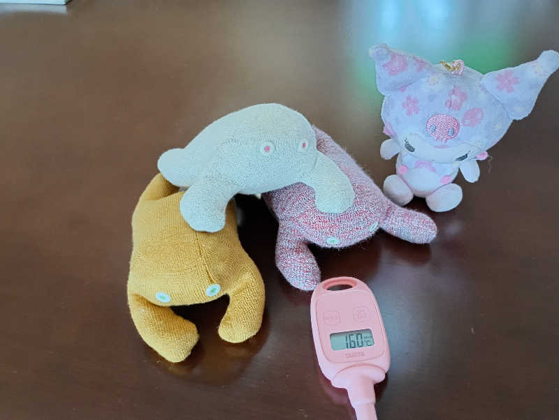 まっちゃんさんの湯元 花の湯のサ活写真