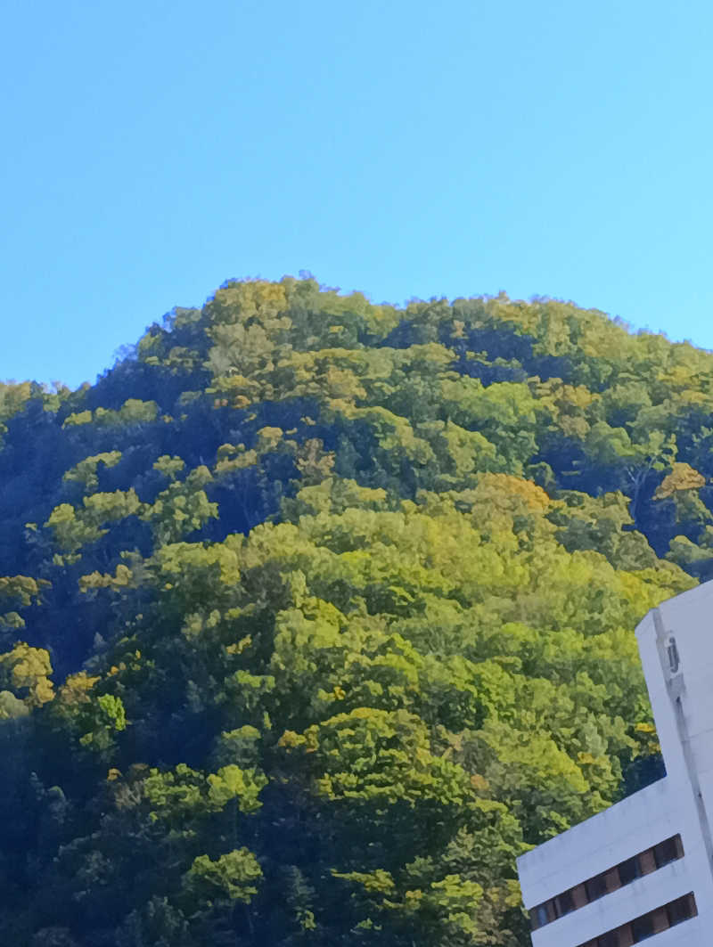 まっちゃんさんの定山渓 鹿の湯のサ活写真