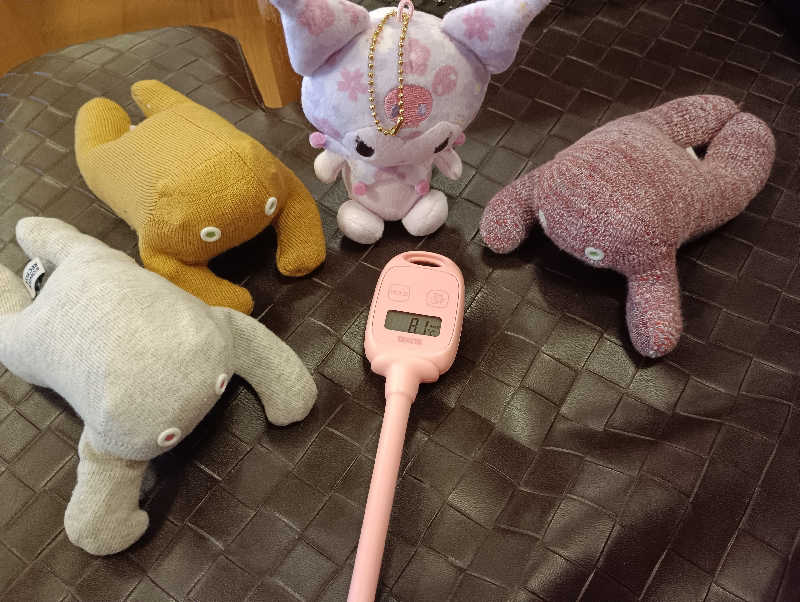 まっちゃんさんの定山渓 鹿の湯のサ活写真