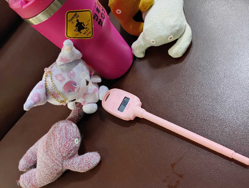 まっちゃんさんのチロルの湯のサ活写真