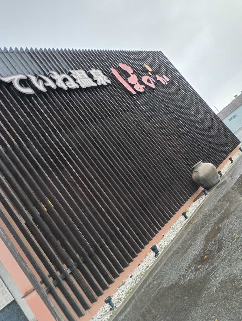 まっちゃんさんのていね温泉ほのかのサ活写真