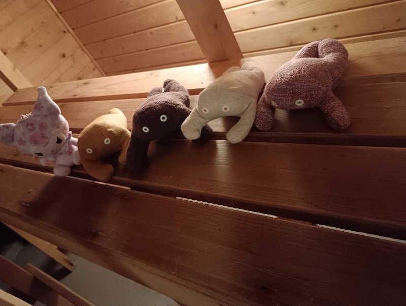 まっちゃんさんのフミノサウナのサ活写真