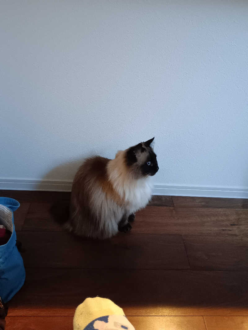 まっちゃんさんのMoruran Saunaのサ活写真