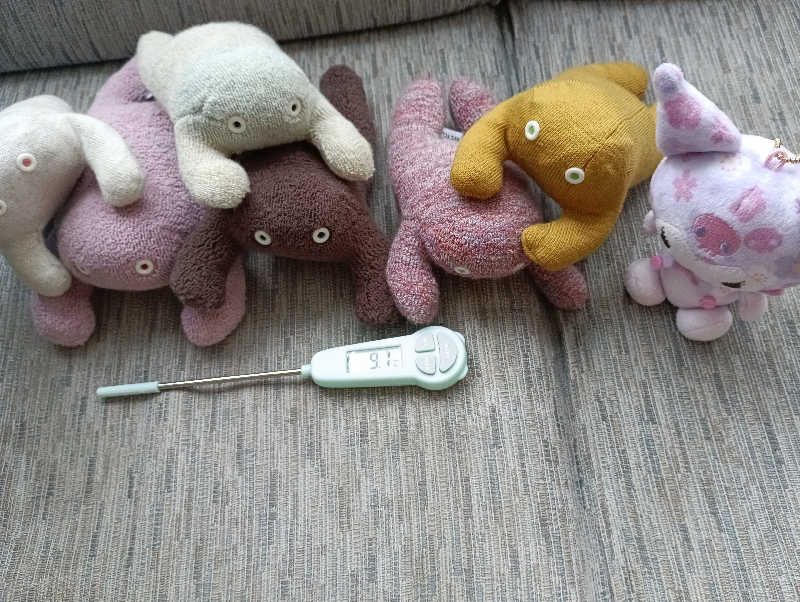 まっちゃんさんのホテル甘露の森のサ活写真